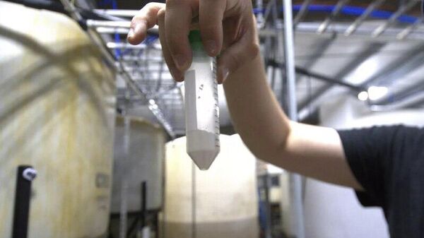 ¿Qué hay detrás del interés de Estados Unidos en las tierras raras de Argentina? - Sputnik Mundo