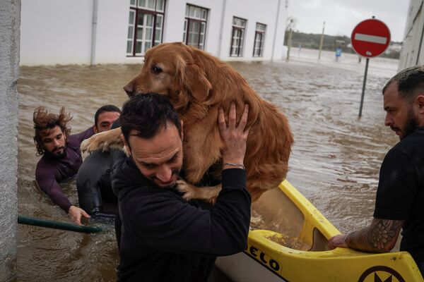 Residentes y equipos de emergencia coordinan para rescatar a las mascotas atrapadas en sus casas tras el desbordamiento del río Sado, provocado por la tormenta Leonardo, que causó fuertes inundaciones en Portugal. La tormenta trajo lluvias torrenciales a la península ibérica, causando al menos una muerte en Portugal, cuando el automóvil de un hombre fue arrastrado. - Sputnik Mundo