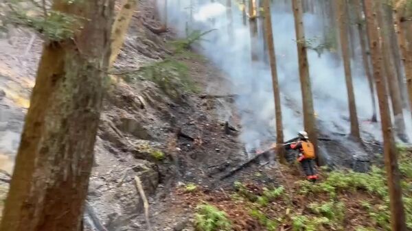 Al menos un herido por un incendio forestal en Japón - Sputnik Mundo