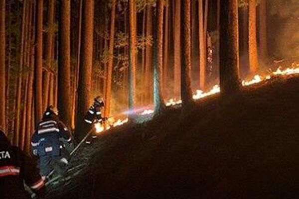 Al menos un herido por un incendio forestal en Japón - Sputnik Mundo