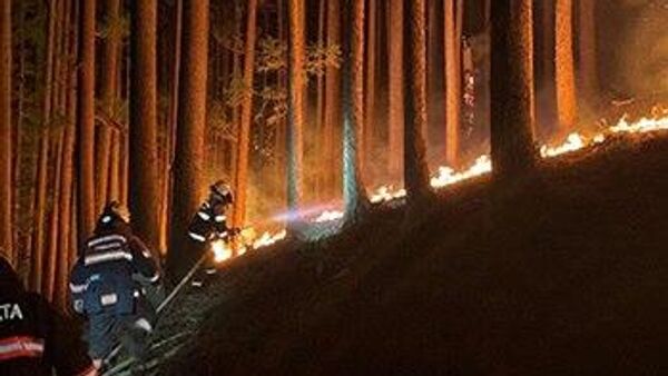 Al menos un herido por un incendio forestal en Japón - Sputnik Mundo
