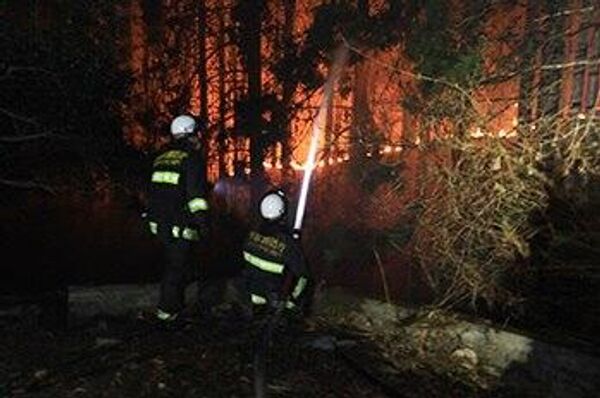 Al menos un herido por un incendio forestal en Japón - Sputnik Mundo