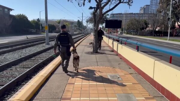 ‍ Perros policía recorren las calles de San Francisco previo al Super Bowl - Sputnik Mundo