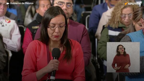 Estamos revisando, dice Sheinbaum sobre el reporte de que los cárteles usan municiones militares de EEUU - Sputnik Mundo