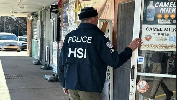 El 86% de los detenidos por el ICE no tendría antecedentes por delitos violentos - Sputnik Mundo