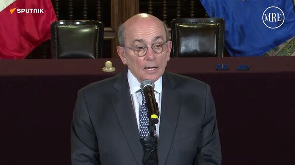 Ni siquiera se está considerando: canciller de Perú descarta planes de incursión en la embajada mexicana - Sputnik Mundo