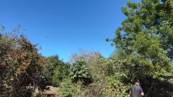 🪖 Marina de México repele ataque armado en Culiacán y hay nueve detenidos - Sputnik Mundo