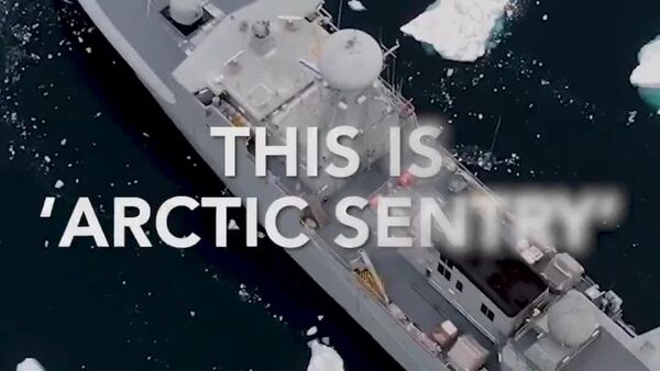 🪖 La OTAN anuncia una operación en el Ártico tras tensiones con EEUU por Groenlandia - Sputnik Mundo