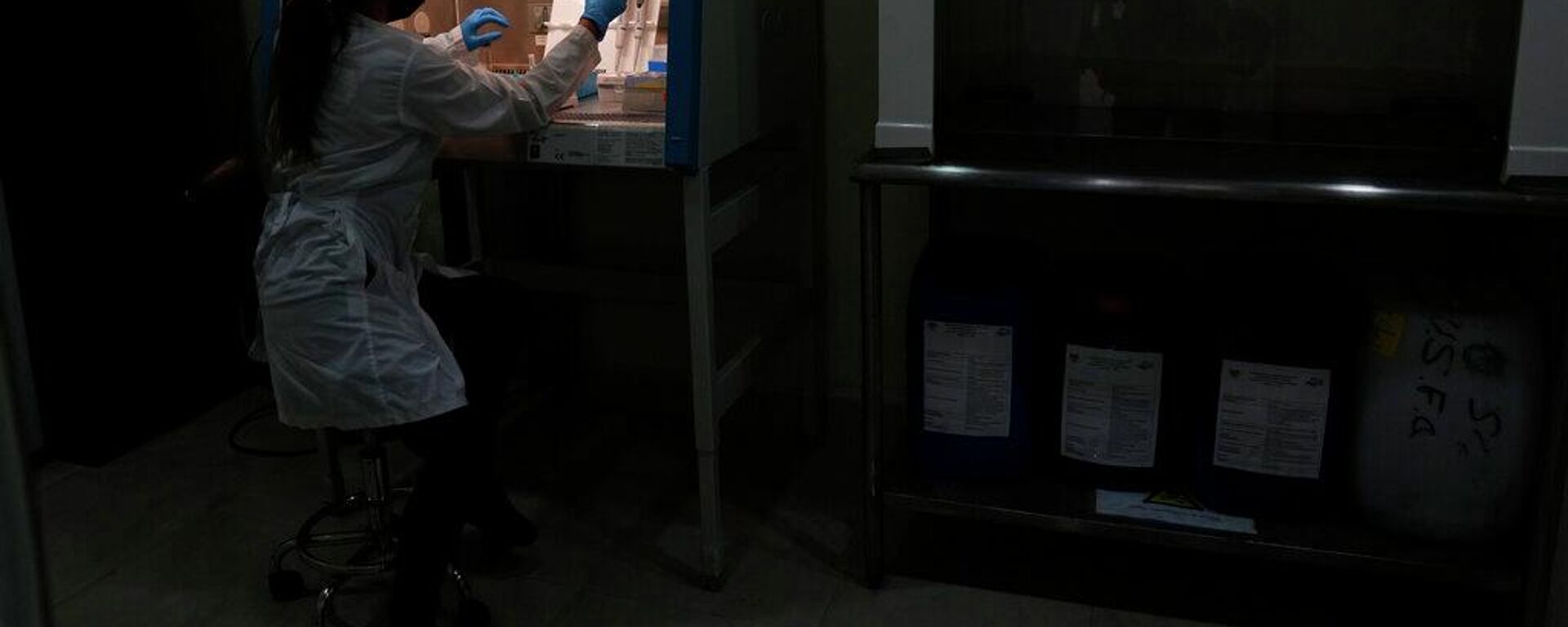 Una científica ecuatoriana extrae ADN de muestras de plantas en el Centro Científico de Galápagos como parte del proyecto Barcode Galápagos en la isla de San Cristóbal, Galápagos, Ecuador. - Sputnik Mundo, 1920, 12.02.2026