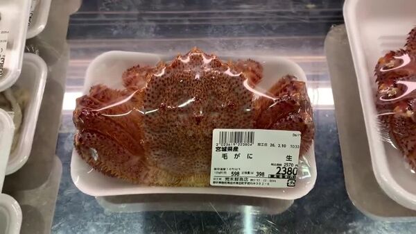 ¡Que alguien detenga a ese cangrejo! - Sputnik Mundo