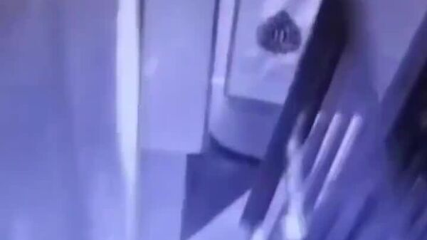 🫏 Un ladrón escapando en… ¿burro? - Sputnik Mundo