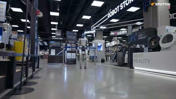 Robots y perros mecánicos conquistan un supermercado en Corea - Sputnik Mundo