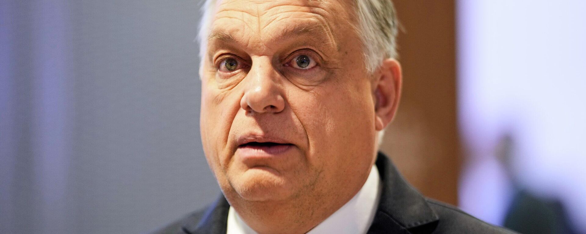 Por eso Ucrania no puede entrar en la UE: Orban le da una respuesta a Zelenski - Sputnik Mundo, 1920, 14.02.2026