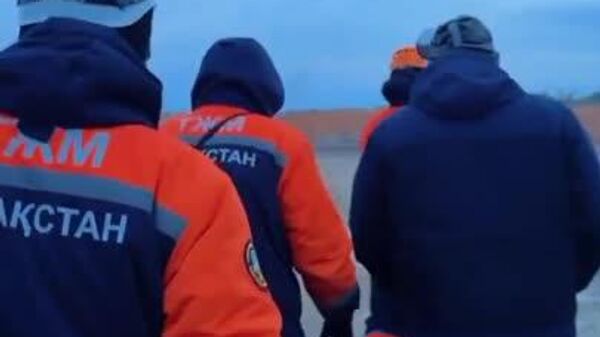 Un mugido entre el fango ayuda a salvar a una vaca - Sputnik Mundo