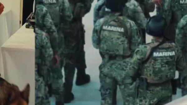 Que siga la música: Marina de México despliega operativo en el Carnaval de Mazatlán - Sputnik Mundo