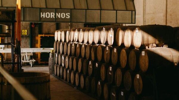 Alcalde mexicano detenido intentó extorsionar a compañía tequilera - Sputnik Mundo