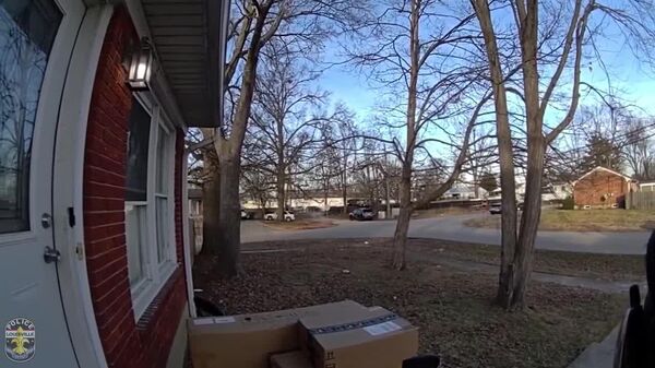 ‍ Perro guía a policías hasta hallar a niño perdido en EEUU - Sputnik Mundo