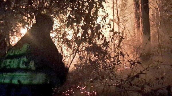 Fuerte incendio alerta a una localidad en Guatemala - Sputnik Mundo