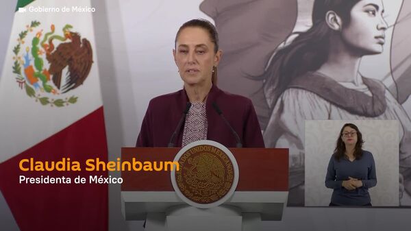 Sheinbaum quiere disminuir los costos de las elecciones en México - Sputnik Mundo