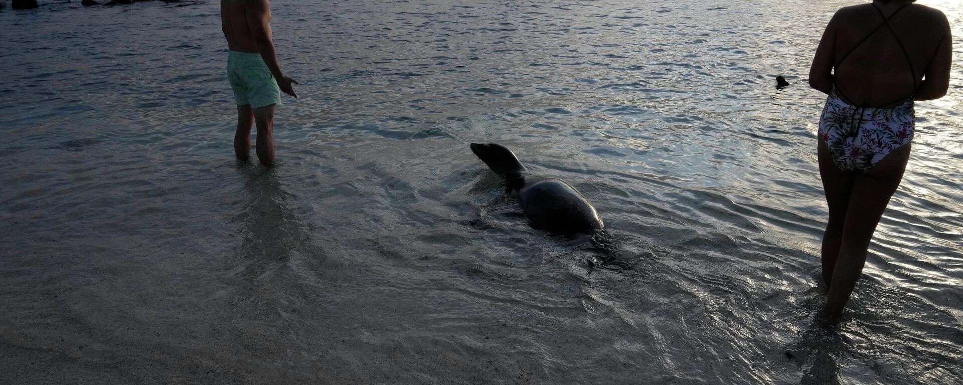 Turismo en Ecuador - Sputnik Mundo, 1920, 18.02.2026