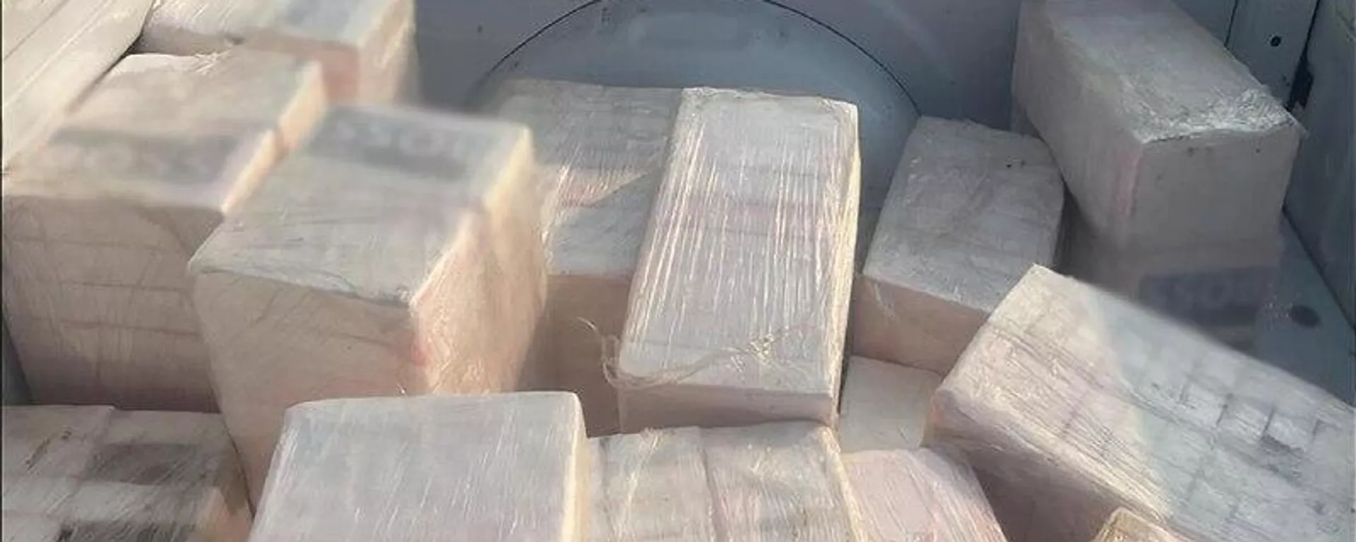 México incauta avioneta que transportaba drogas en Oaxaca México incauta avioneta que transportaba drogas en Oaxaca - Sputnik Mundo, 1920, 18.02.2026