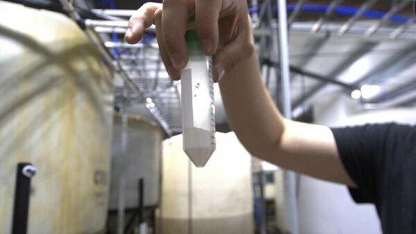 ¿EEUU o los BRICS? Acuerdos por minerales críticos abren una brecha en Sudamérica - Sputnik Mundo