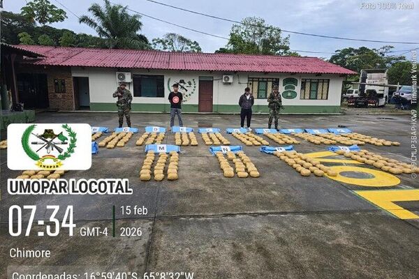 Aseguran en Bolivia más de cuatro toneladas de marihuana y casi 80 kilos de cocaína - Sputnik Mundo