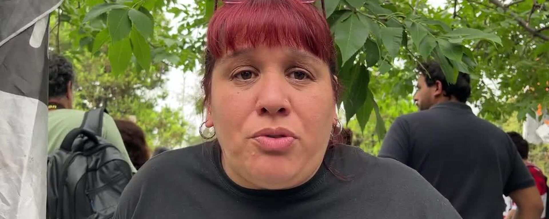 La reforma laboral de Milei perjudicará a generaciones completas, afirma la diputada - Sputnik Mundo, 1920, 19.02.2026