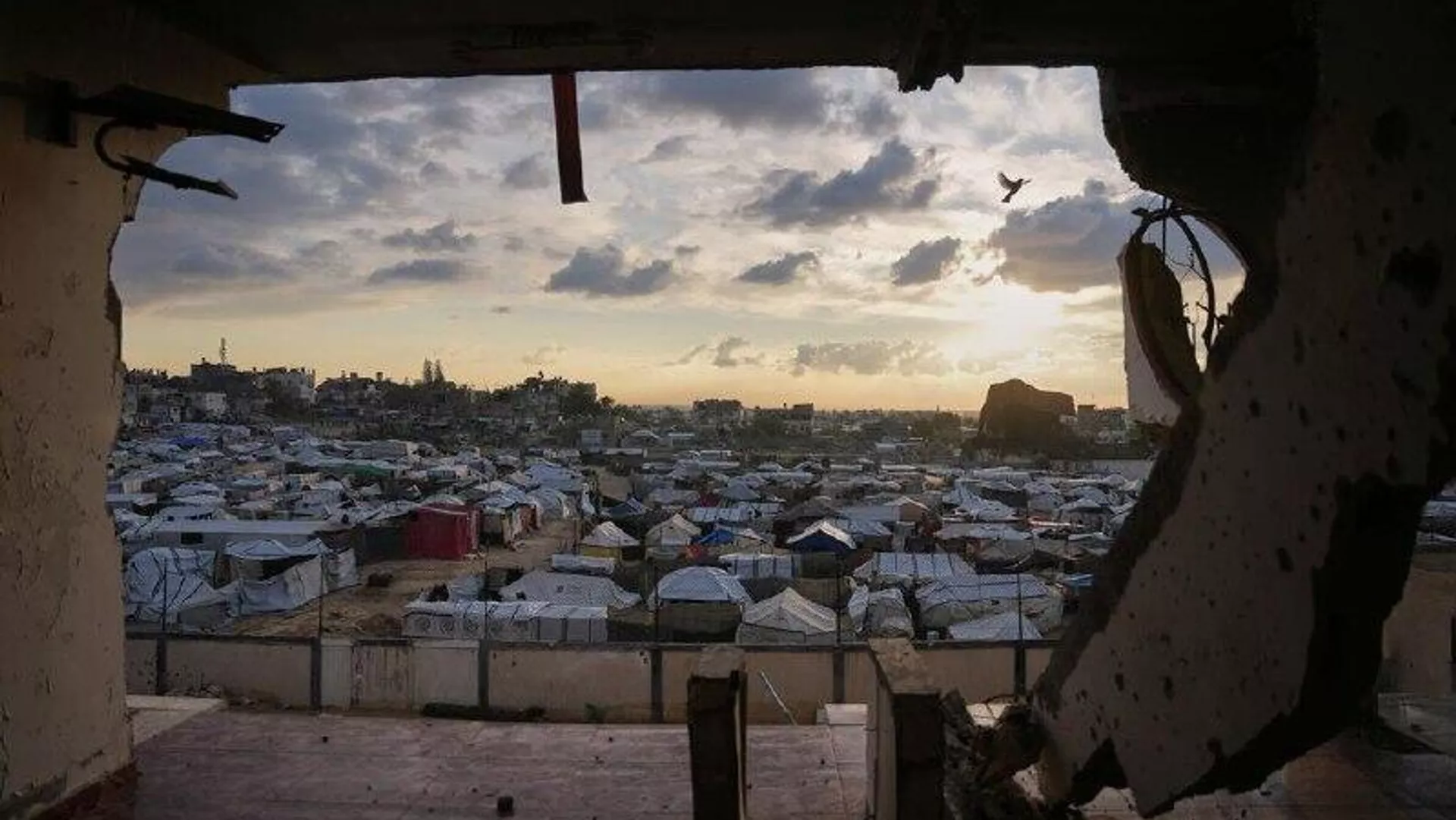 La ONU advierte sobre temores por limpieza étnica en Gaza y Cisjordania La ONU advierte sobre temores por limpieza étnica en Gaza y Cisjordania - Sputnik Mundo, 1920, 19.02.2026