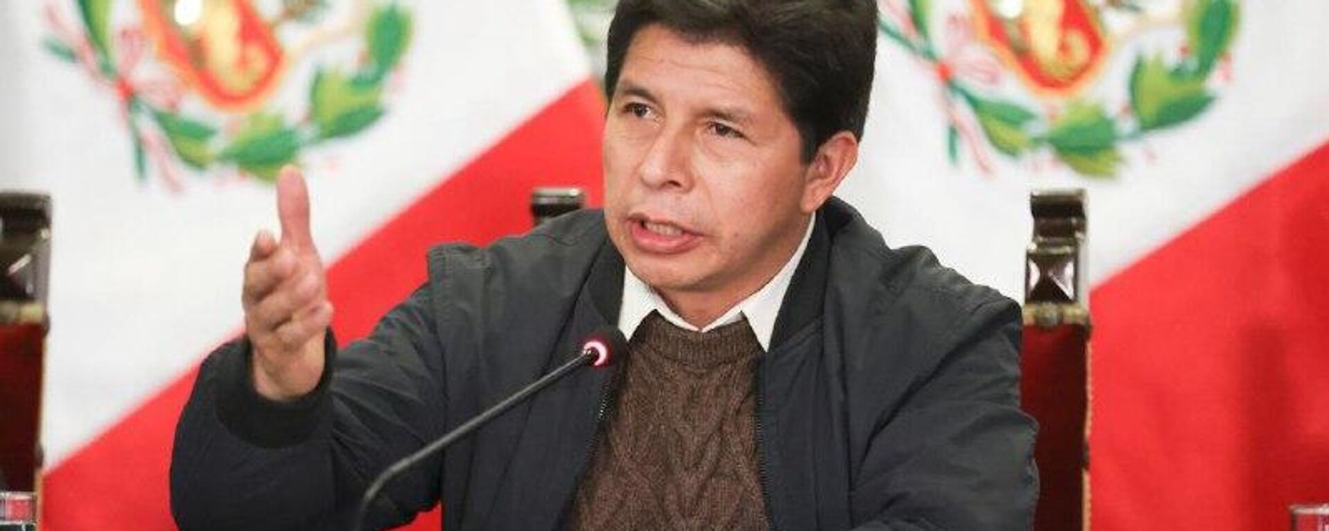 Pedro Castillo solicitó un indulto al nuevo presidente de Perú - Sputnik Mundo, 1920, 20.02.2026