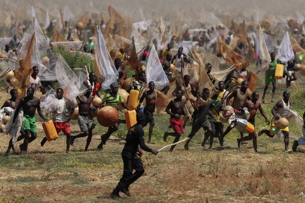 Los pescadores corren hacia el río Matan Fada, mientras intentan atrapar el pez más grande durante el día de clausura del Festival internacional de pesca de Argungu, Nigeria. - Sputnik Mundo