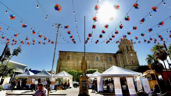 Suspenden actividades públicas en estados del occidente mexicano - Sputnik Mundo