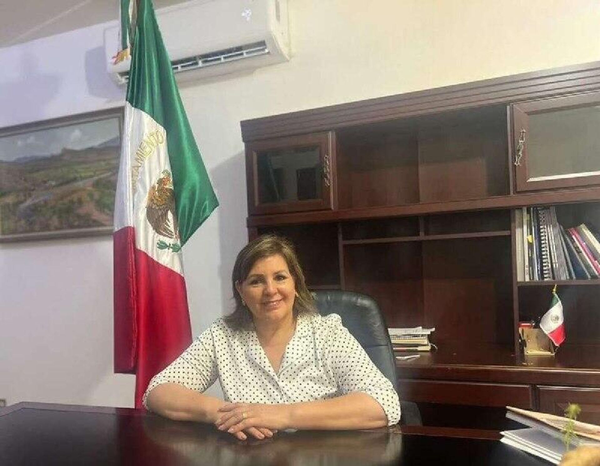 Se registra ataque armado contra una alcaldesa del norte de México: su hijo fue asesinado - Sputnik Mundo, 1920, 24.02.2026