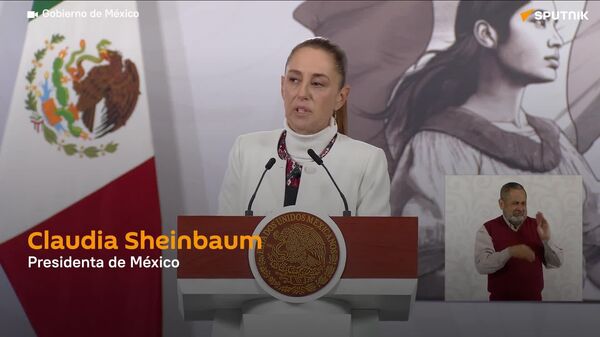 Sheinbaum analiza interponer acciones legales contra Elon Musk - Sputnik Mundo