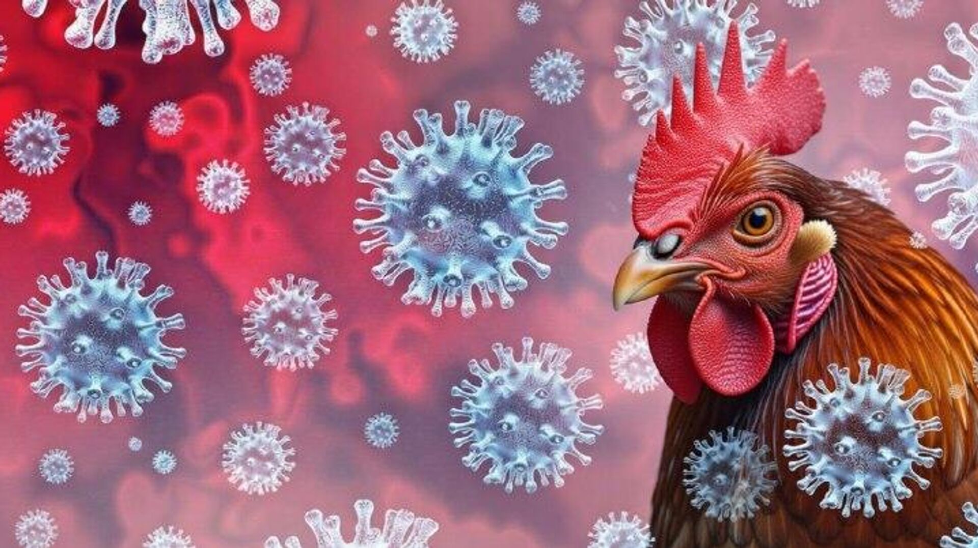 Uruguay declara emergencia sanitaria por la detección de casos de gripe aviar Uruguay declara emergencia sanitaria por la detección de casos de gripe aviar - Sputnik Mundo, 1920, 25.02.2026