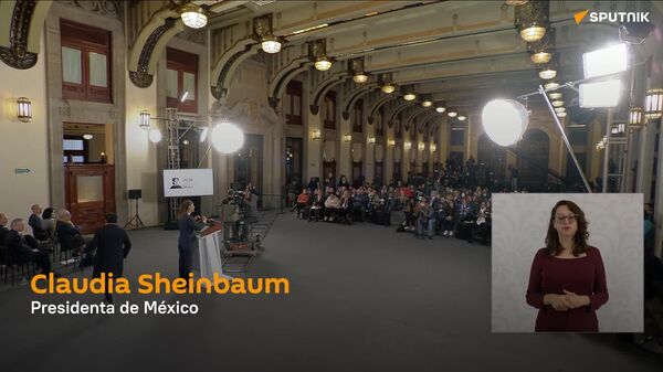 Todos tienen que ir a conseguir el voto: Sheinbaum explica los cambios propuestos en su reforma electoral - Sputnik Mundo