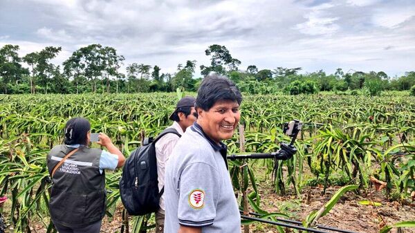 Evo Morales, expresidente de Bolivia - Sputnik Mundo