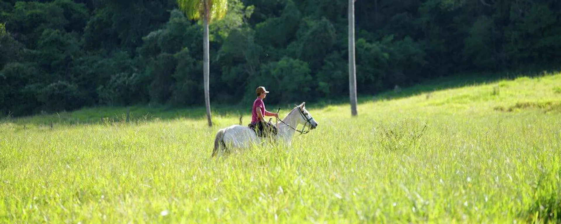 Agricultor del departamento paraguayo de Amabay - Sputnik Mundo, 1920, 28.02.2026