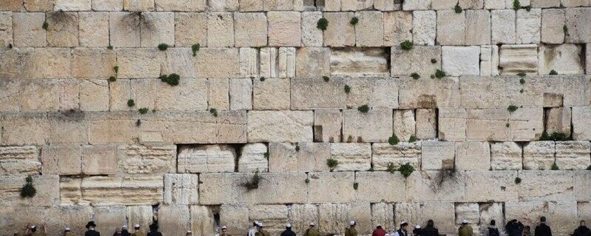 🪖 Una gran mayoría de los judíos israelíes apoya la guerra contra Irán, según encuesta - Sputnik Mundo, 1920, 04.03.2026