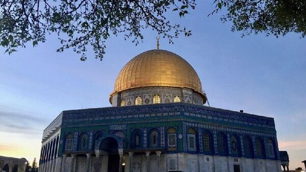 Autoridades israelíes facilitan licencia de armas para 300 - Sputnik Mundo