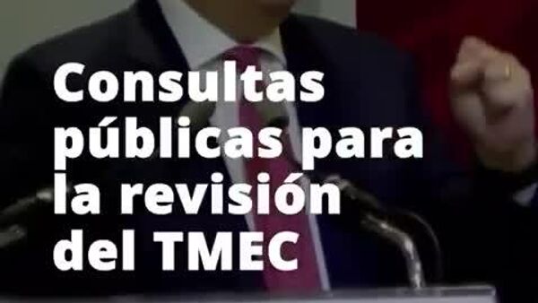 El 83% de los sectores productivos en México respaldan el T-MEC, según autoridades - Sputnik Mundo