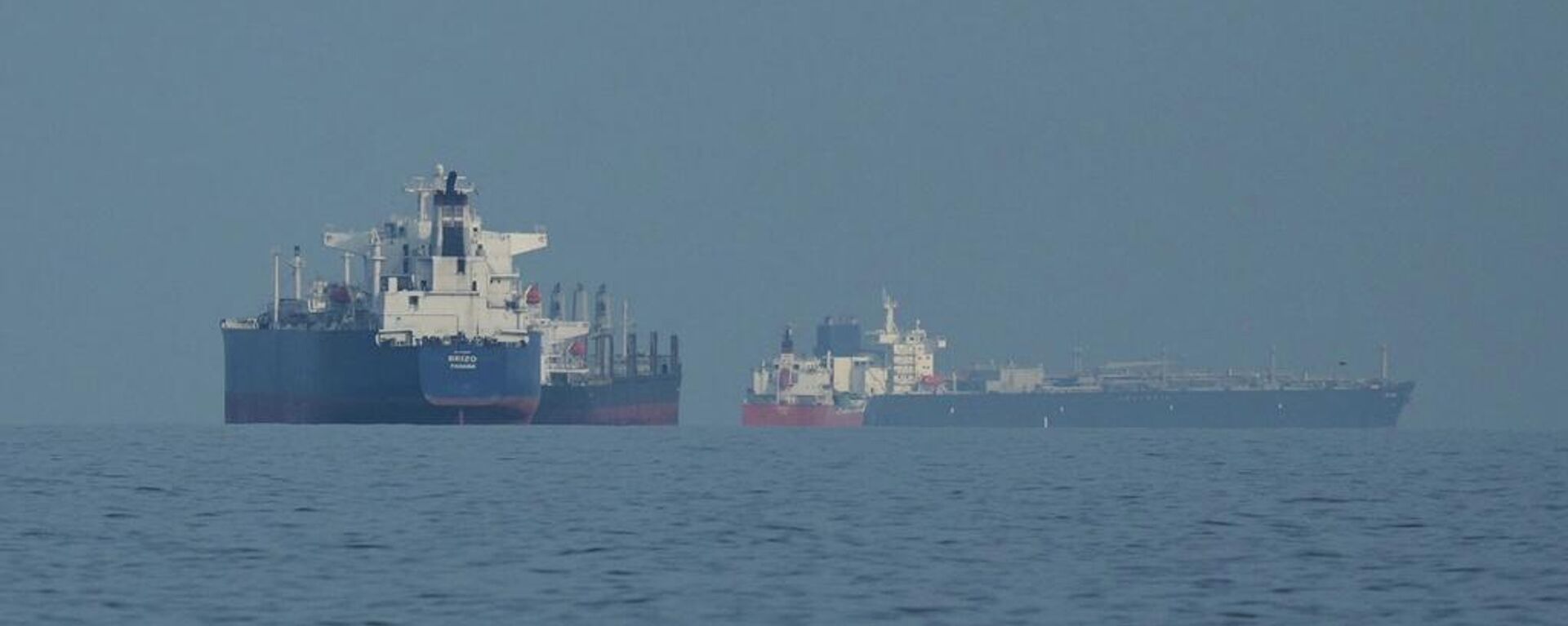 Petroleros y buques de carga se alinean en el estrecho de Ormuz - Sputnik Mundo, 1920, 22.03.2026