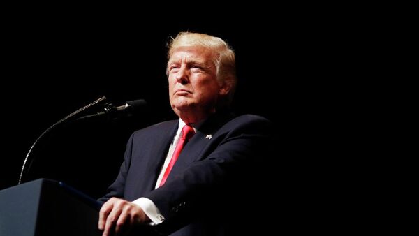 Donald Trump, presidente de EEUU - Sputnik Mundo