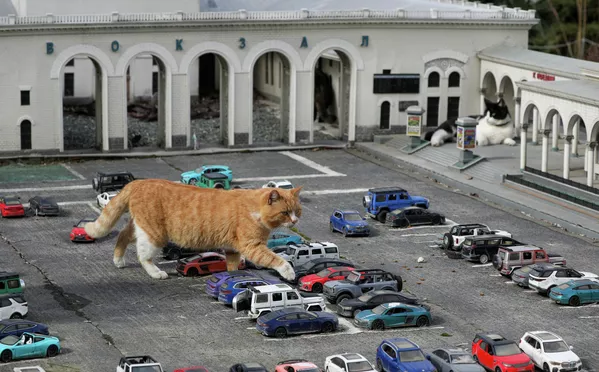 Un gato cruza entre cochecitos de juguete en un parque de miniaturas en Crimea. - Sputnik Mundo