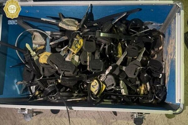 ‍ Autoridades incautan vehículos monstruos en la Ciudad de México - Sputnik Mundo