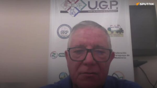 Las exigencias de la UE causan alerta entre los productores de los países del Mercosur - Sputnik Mundo