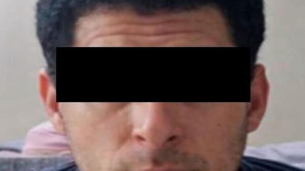 México incauta 270 kilos de fentanilo en operativo coordinado con EEUU - Sputnik Mundo