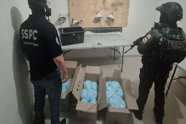 México incauta 270 kilos de fentanilo en operativo coordinado con EEUU - Sputnik Mundo