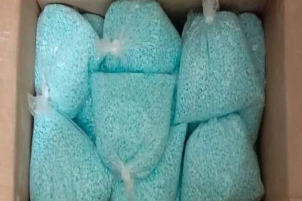 México incauta 270 kilos de fentanilo en operativo coordinado con EEUU - Sputnik Mundo