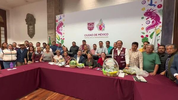 Jefa de Gobierno de la capital de México anuncia apoyo para productores de nopales - Sputnik Mundo